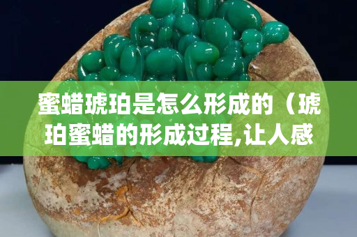 蜜蜡琥珀是怎么形成的（琥珀蜜蜡的形成过程,让人感叹!(视频)）
