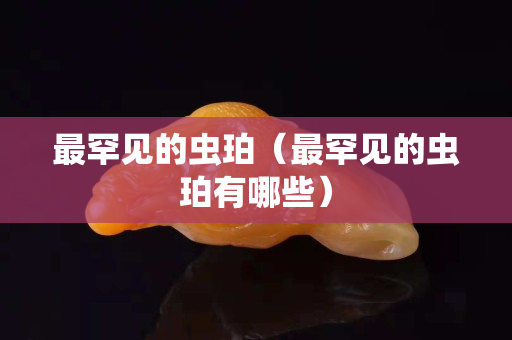 最罕见的虫珀（最罕见的虫珀有哪些）
