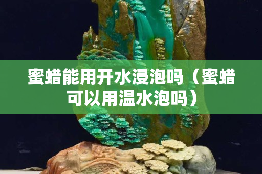 蜜蜡能用开水浸泡吗（蜜蜡可以用温水泡吗）