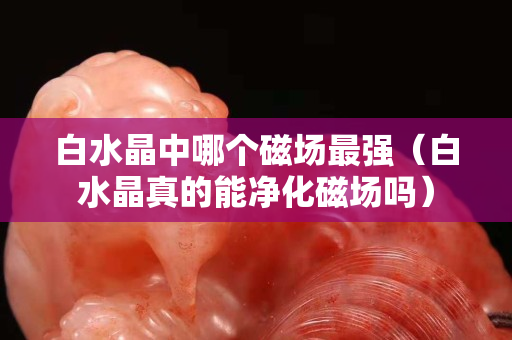 白水晶中哪个磁场最强（白水晶真的能净化磁场吗）