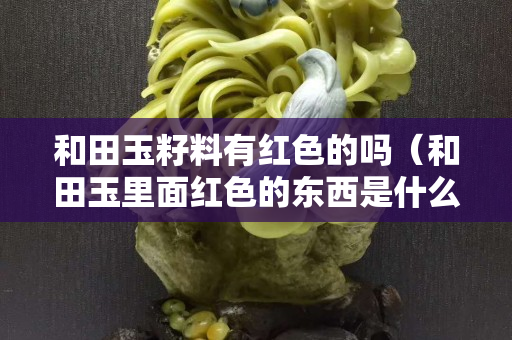 和田玉籽料有红色的吗（和田玉里面红色的东西是什么）