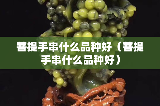 菩提手串什么品种好（菩提手串什么品种好）