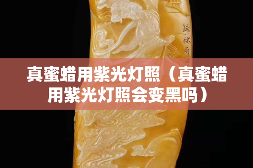 真蜜蜡用紫光灯照（真蜜蜡用紫光灯照会变黑吗）