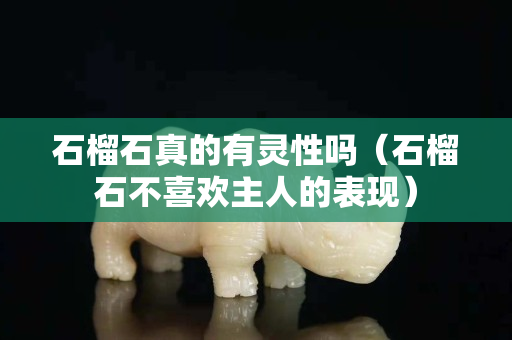 石榴石真的有灵性吗（石榴石不喜欢主人的表现）