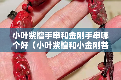 小叶紫檀手串和金刚手串哪个好（小叶紫檀和小金刚菩提手串哪个贵）