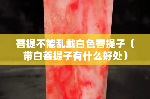 菩提不能乱戴白色菩提子（带白菩提子有什么好处）
