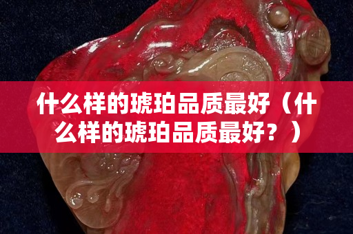 什么样的琥珀品质最好（什么样的琥珀品质最好？）
