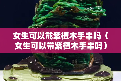女生可以戴紫檀木手串吗（女生可以带紫檀木手串吗）