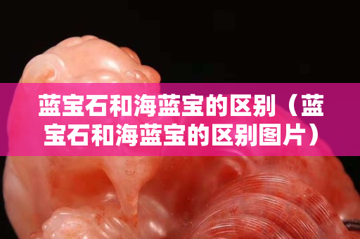 蓝宝石和海蓝宝的区别（蓝宝石和海蓝宝的区别图片）