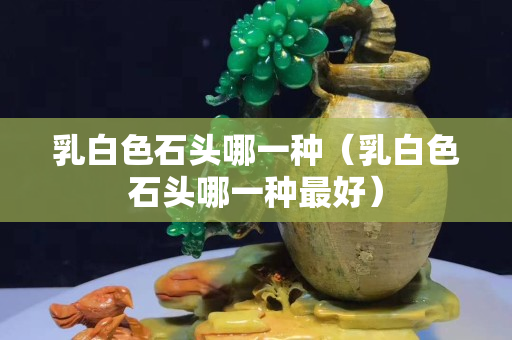 乳白色石头哪一种（乳白色石头哪一种最好）