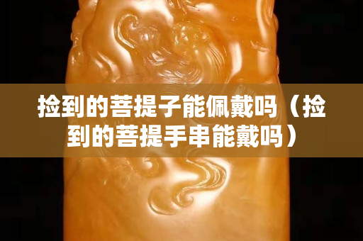 捡到的菩提子能佩戴吗（捡到的菩提手串能戴吗）