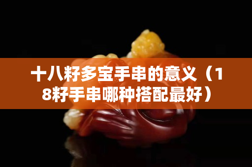 十八籽多宝手串的意义（18籽手串哪种搭配最好）
