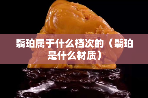翳珀属于什么档次的（翳珀是什么材质）