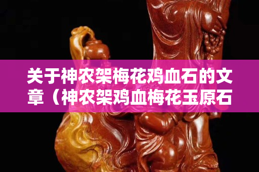 关于神农架梅花鸡血石的文章（神农架鸡血梅花玉原石）