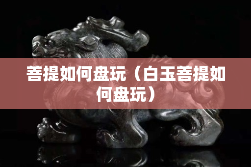 菩提如何盘玩（白玉菩提如何盘玩）