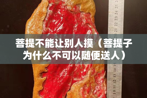 菩提不能让别人摸（菩提子为什么不可以随便送人）