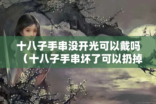 十八子手串没开光可以戴吗（十八子手串坏了可以扔掉吗）