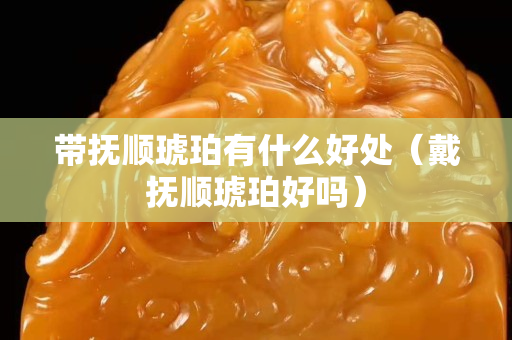 带抚顺琥珀有什么好处（戴抚顺琥珀好吗）