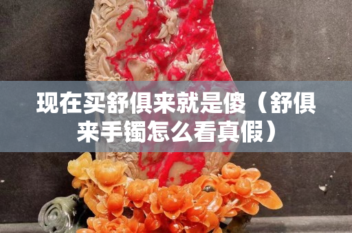 现在买舒俱来就是傻（舒俱来手镯怎么看真假）
