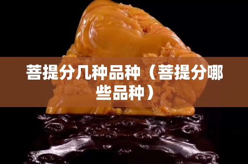 菩提分几种品种（菩提分哪些品种）