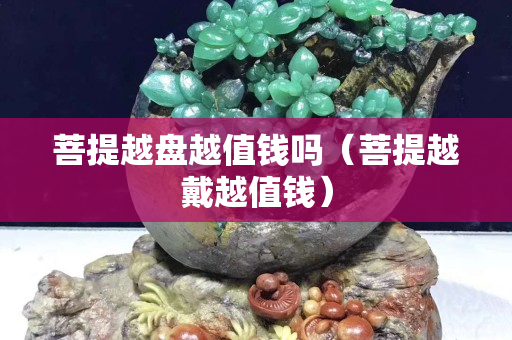 菩提越盘越值钱吗（菩提越戴越值钱）