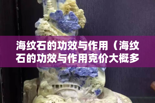 海纹石的功效与作用（海纹石的功效与作用克价大概多少）