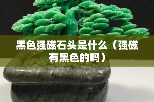 黑色强磁石头是什么（强磁有黑色的吗）
