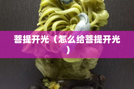 菩提开光（怎么给菩提开光）
