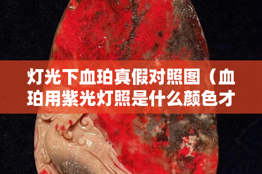 灯光下血珀真假对照图（血珀用紫光灯照是什么颜色才是原矿的）