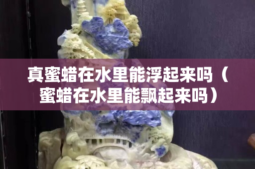 真蜜蜡在水里能浮起来吗（蜜蜡在水里能飘起来吗）