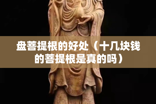 盘菩提根的好处（十几块钱的菩提根是真的吗）