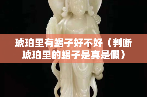 琥珀里有蝎子好不好（判断琥珀里的蝎子是真是假）