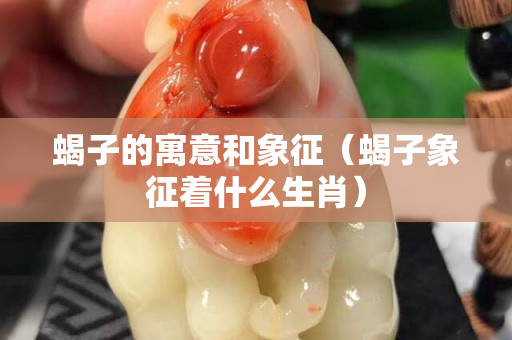 蝎子的寓意和象征（蝎子象征着什么生肖）