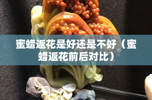 蜜蜡返花是好还是不好（蜜蜡返花前后对比）