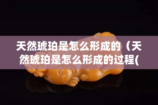 天然琥珀是怎么形成的（天然琥珀是怎么形成的过程(小故事不40字)）