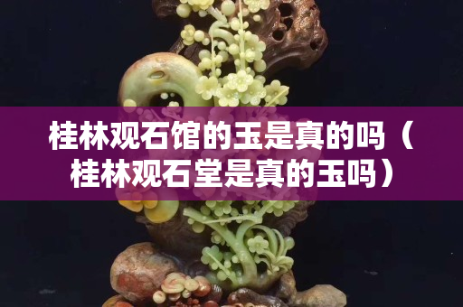 桂林观石馆的玉是真的吗（桂林观石堂是真的玉吗）