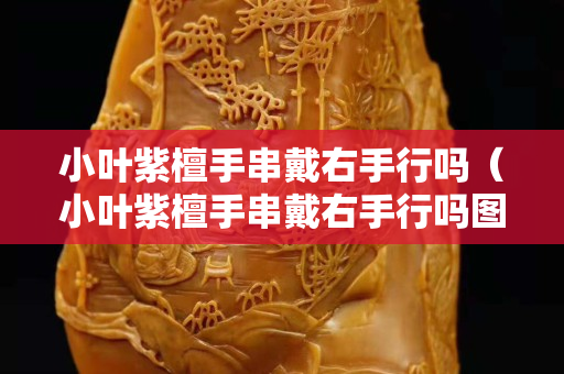 小叶紫檀手串戴右手行吗（小叶紫檀手串戴右手行吗图片）