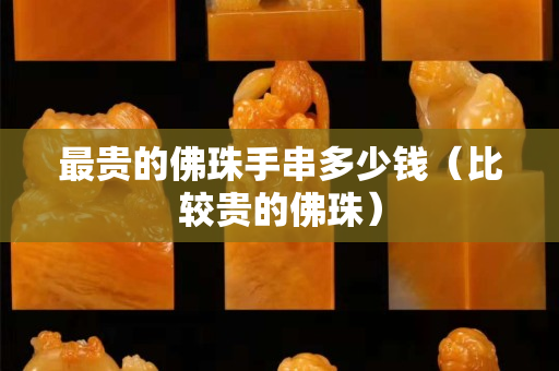最贵的佛珠手串多少钱（比较贵的佛珠）