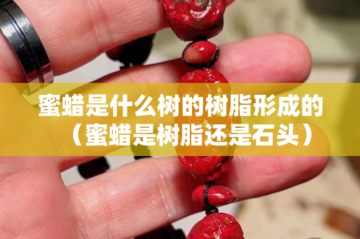 蜜蜡是什么树的树脂形成的（蜜蜡是树脂还是石头）