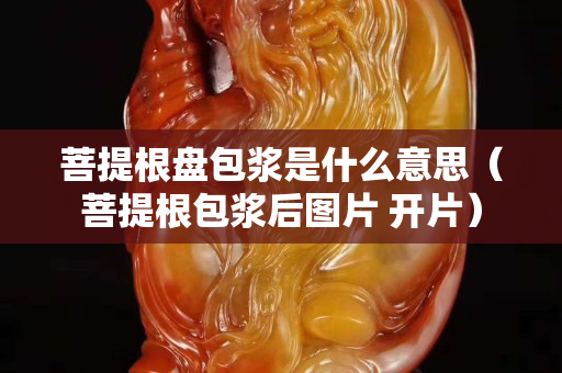 菩提根盘包浆是什么意思（菩提根包浆后图片 开片）