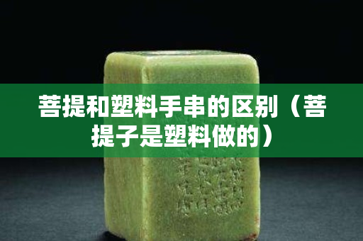 菩提和塑料手串的区别（菩提子是塑料做的）