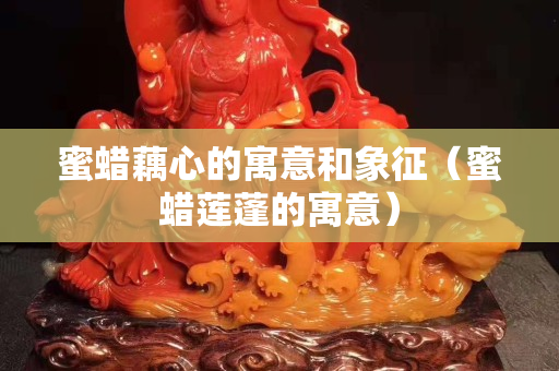 蜜蜡藕心的寓意和象征（蜜蜡莲蓬的寓意）