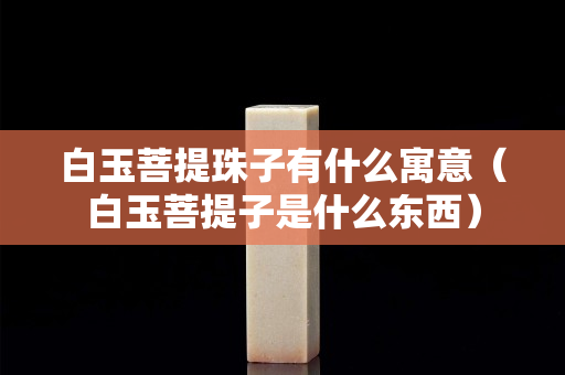 白玉菩提珠子有什么寓意（白玉菩提子是什么东西）