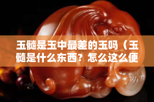 玉髓是玉中最差的玉吗（玉髓是什么东西？怎么这么便宜）