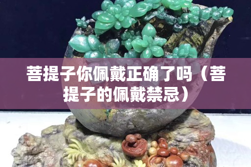 菩提子你佩戴正确了吗（菩提子的佩戴禁忌）
