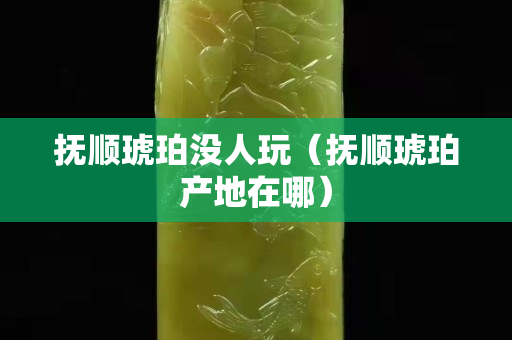 抚顺琥珀没人玩（抚顺琥珀产地在哪）