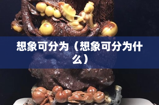 想象可分为（想象可分为什么）