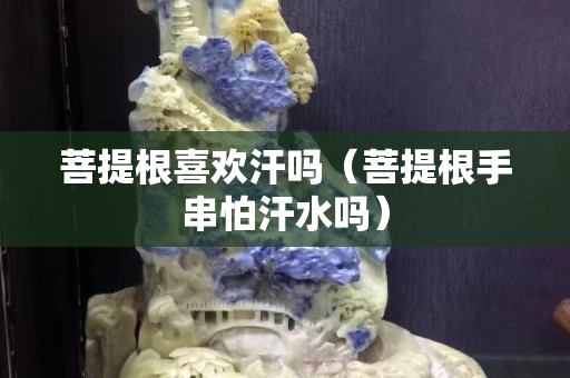 菩提根喜欢汗吗（菩提根手串怕汗水吗）