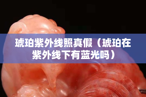 琥珀紫外线照真假（琥珀在紫外线下有蓝光吗）