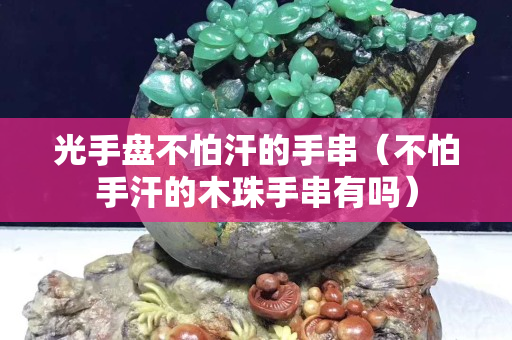 光手盘不怕汗的手串（不怕手汗的木珠手串有吗）